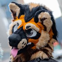 Luca Shep 🏴 🔜 EF (@luca_shep) 's Twitter Profile Photo Luca Shep 🏴 🔜 EF (@luca_shep) 's Twitter Profile Photo