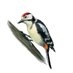 Spicypicus (@spicypicus) Twitter profile photo Spicypicus (@spicypicus) Twitter profile photo