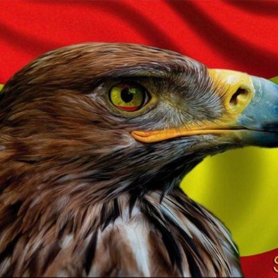 Autónomo , solo el pueblo salva al pueblo , siempre VOX💚
NO DM , si te llega un mensaje no soy yo
