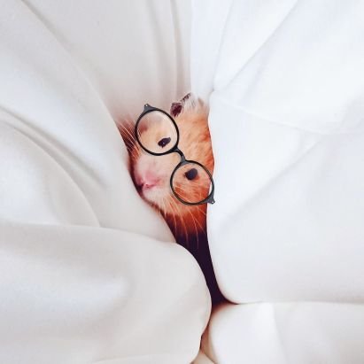 sakurano_sippo's profile picture. 自由気ままにアクセサリー作りをしています。フォローしていただけたら嬉しいです💖

さくらのしっぽアトリエฅ🐾
shop：Minne🌸さくらのしっぽアトリエ 
https://t.co/zMHEZ5nVCO