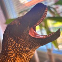 Markus (@filmnbooknerd09) 's Twitter Profile