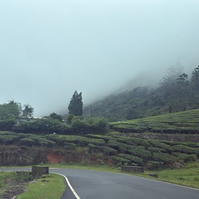 Robi06882196323's profile picture. 