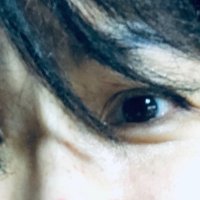 🍃🐤ヒヨコ豆🐤🍃用避難アカウント (@rabbit250800) 's Twitter Profile