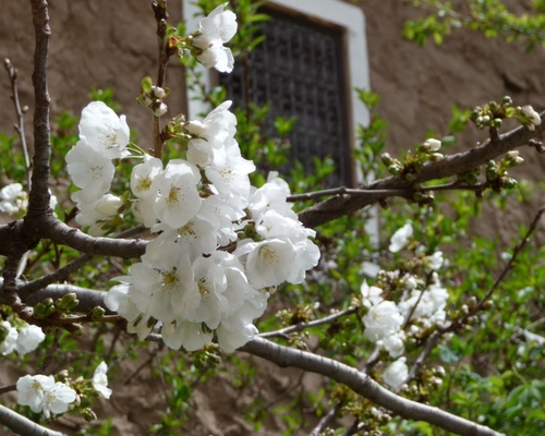 VitalityPassion's profile picture. Budding life and wellness coach. The only person you are destined to become is the person you decide to be. - Ralph Waldo Emerson