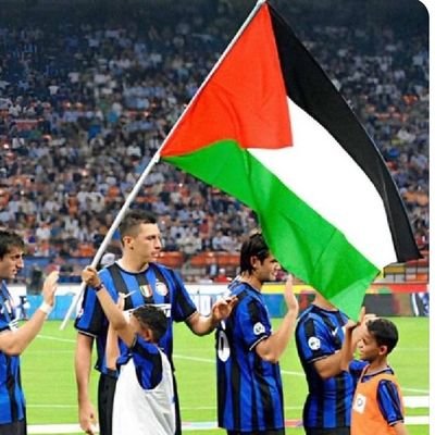 SyedRaz71210415's profile picture. 