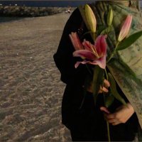 — (@s9h33s) 's Twitter Profile