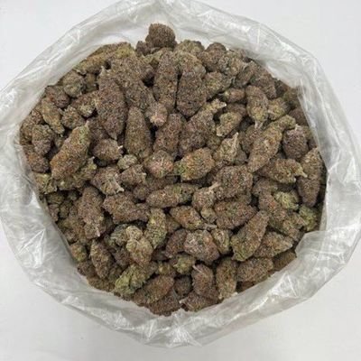 bobiwibowo408's profile picture. Message me on telegram to place your order my dawg 👇 
https://t.co/aJF0xLhEaw