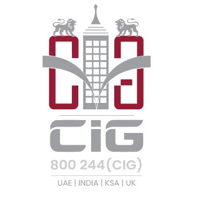 SetBusiness's profile picture. CIG Business Consultant and Services