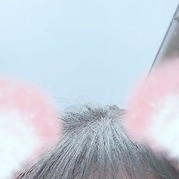 もめんさんのプロフィール画像