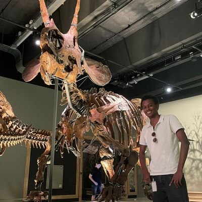 The Ceratopsian Custodianさんのプロフィール画像
