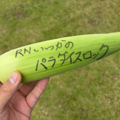 paradiselock_at's profile picture. 自由気ままにラジオとフレブル、ラグビーをつぶやきます。 いつも心にギャルピース✌️