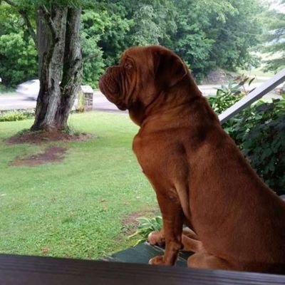 CO-Tech• FSO• USMC_Vet_SATCOM * #MAGA #MAHA 🐸 #ResearchForFree-Dom
#Trump2028