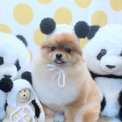 ショウヤさんのプロフィール画像