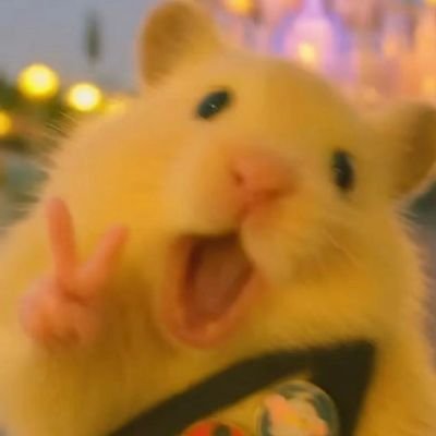 _____natrmsalt's profile picture. 