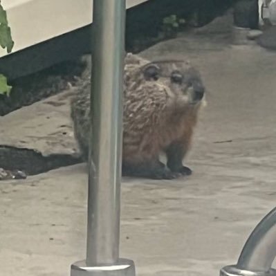 KimDaeHyun93's profile picture. 