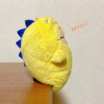 ♮きぃろいようせい🌼 Profile