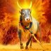 முரட்டு காளை🐂 (@rajeshkaala143) Twitter profile photo முரட்டு காளை🐂 (@rajeshkaala143) Twitter profile photo