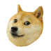 Good Human (@goodhuman33574) Twitter profile photo Good Human (@goodhuman33574) Twitter profile photo