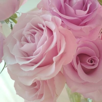 g3ktur's profile picture. アイナナ。基本箱推し、過去のものやお気に入り柄(友人分など)求めるキャラは多岐に渡ります。TRIGGER、ŹOOĻ。楽。
その他、野球について好き勝手に。スタマイ、スタオケ。千ゲ閲覧垢です。成人済みです。様々な作品のお取引もさせていただきます。梱包、お取引詳細はDMにて記載します。