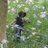 La_France118's profile image