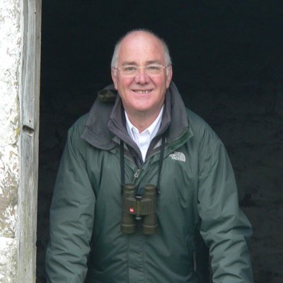 labradorfalcon's profile picture. Still Rocking