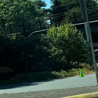 tngttic's profile picture. 