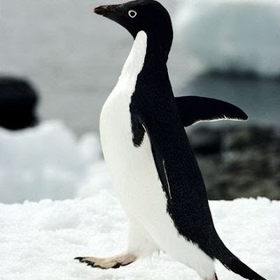 meandred4053534's profile picture. I am a let's player by the name of meandred40yahoocom my old account was compromised and I am pissed about that, normally am 13+ for target I was hacked before