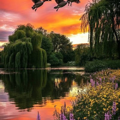 jasimabdulla74's profile picture. pediatrician..
from iraq.......
Liverpool   my favourite football club.......
l like music and travelling