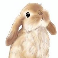 うたみみ🐰 (@utamimi33) 's Twitter Profile