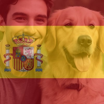Isacastrosp's profile picture. Hay que seguir y apoyar al político católico 
que hable con orgullo de Franco
 y que luche por los españoles. 
El resto son globalistas!