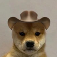 cowboy satoshi (@cowboysatoshii) 's Twitter Profile Photo cowboy satoshi (@cowboysatoshii) 's Twitter Profile Photo