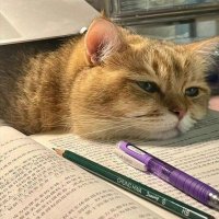 ☾ (@whatmyname___) 's Twitter Profile
