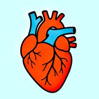 WithAScalpel (@withascalpel) 's Twitter Profile