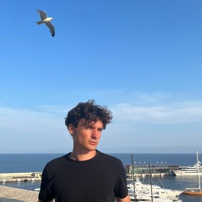 PhD Student @Inria @ENS_ULM | Multi-agent decision-making, uncertainty quantification