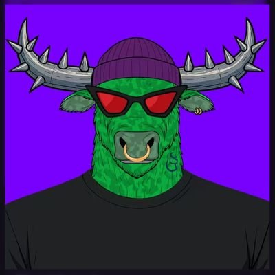 tafiid12's profile picture. 