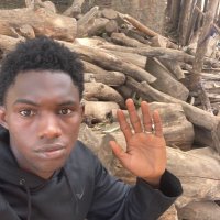 Lamin (@laminbarry230) 's Twitter Profile