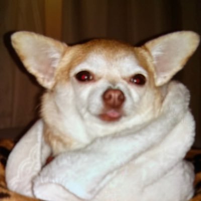 HeatherBar2697's profile picture. 