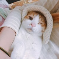 개백수놈 (@ar_lock_) 's Twitter Profile
