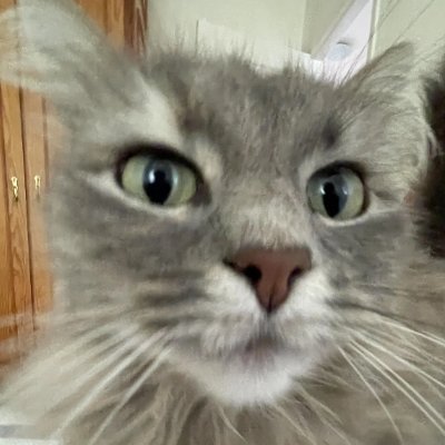 Apollo Profile
