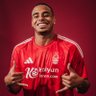 TieganNFFC's profile picture. 23 • Nottingham • Forest home and away