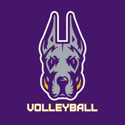 Facebook: UAlbany Women's Volleyball / Instagram: Ualbany_volleyball / Snapchat: uavolleyball