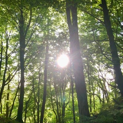 Survivor of CSA & rape. Living with CPTSD, dissociation, depression, self harm. Finding my voice. Holding on to hope. Using my lived experience to help others.