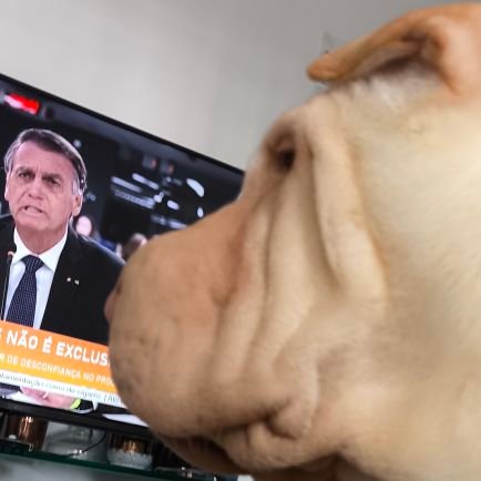 parabéns seja bem vinda vc arrasou