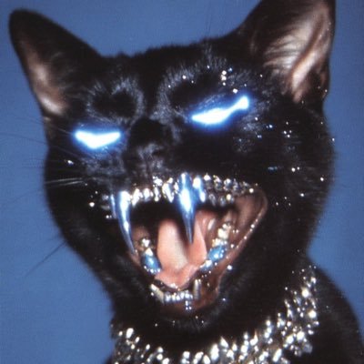 meowski12さんのプロフィール画像
