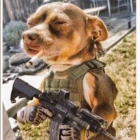 Diana Guest (@sillypuppy0) 's Twitter Profile