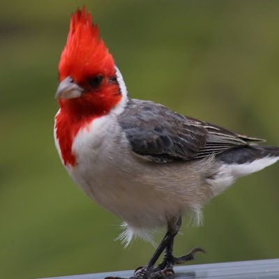 NorthVanHiker's profile picture. 