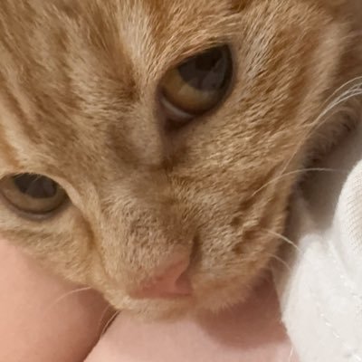 Harm0nyiwy's profile picture. 