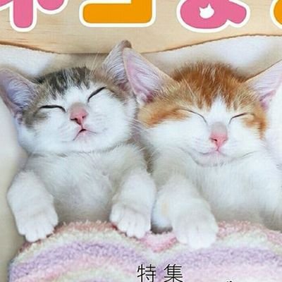 @4moonorchid