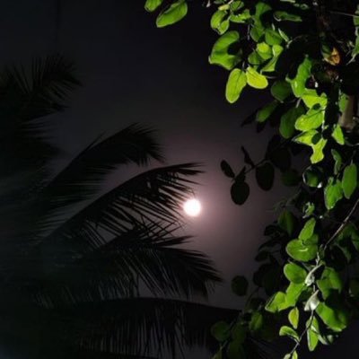 B_22_V's profile picture. 