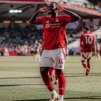 sjdtwit's profile picture. Father, Forest fan Forever and fun loving fella